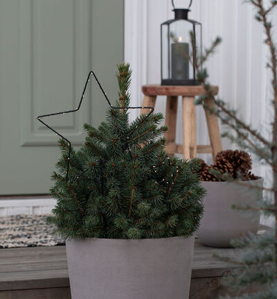 LED stjerne på pinne 70 cm LED stjerne på pinne 70 cm